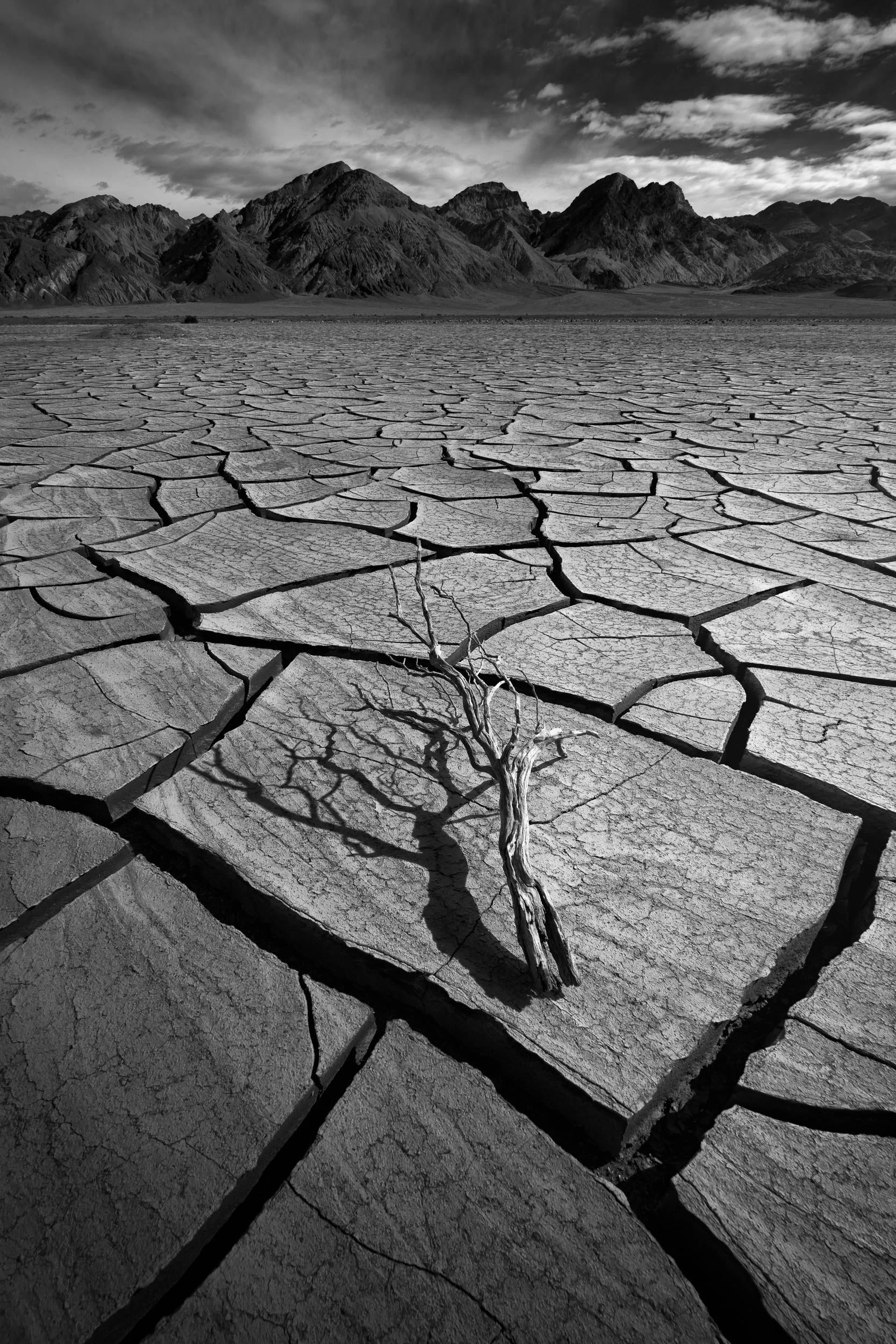 Alfredo Mora Photography Monochrome-4.jpg