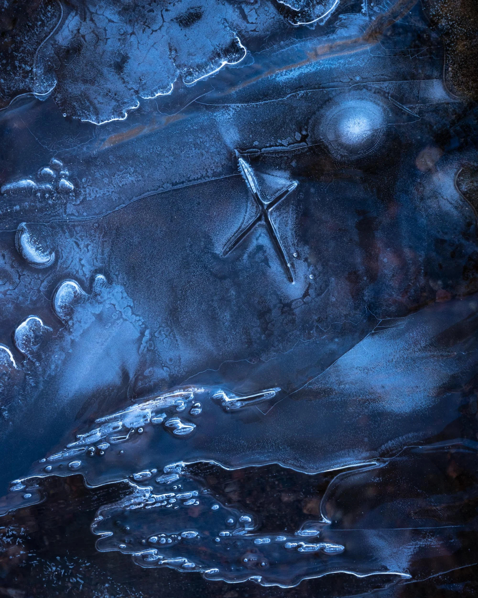 Alfredo Mora Photography-324.jpg