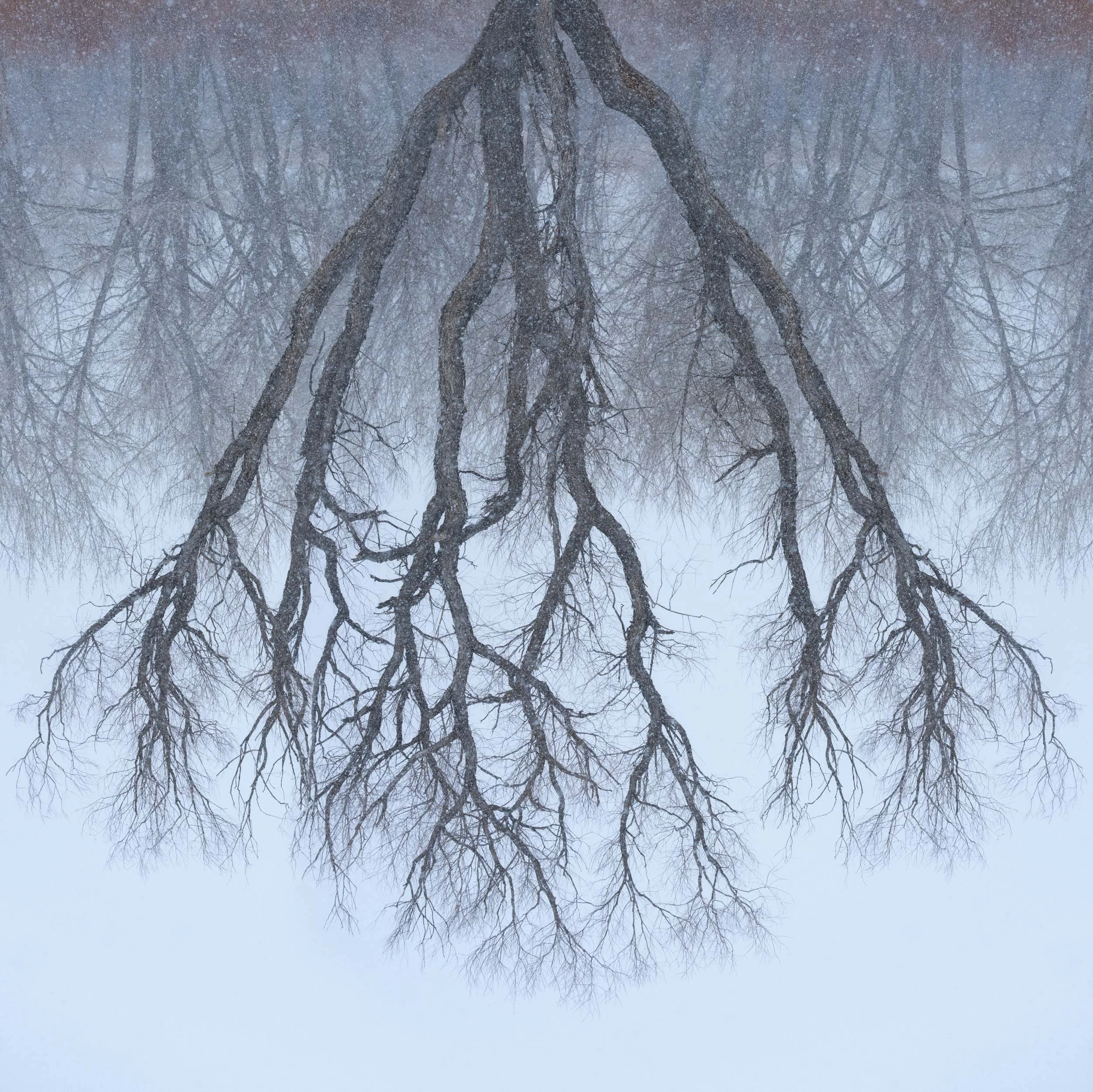 Alfredo Mora Photography-317.jpg