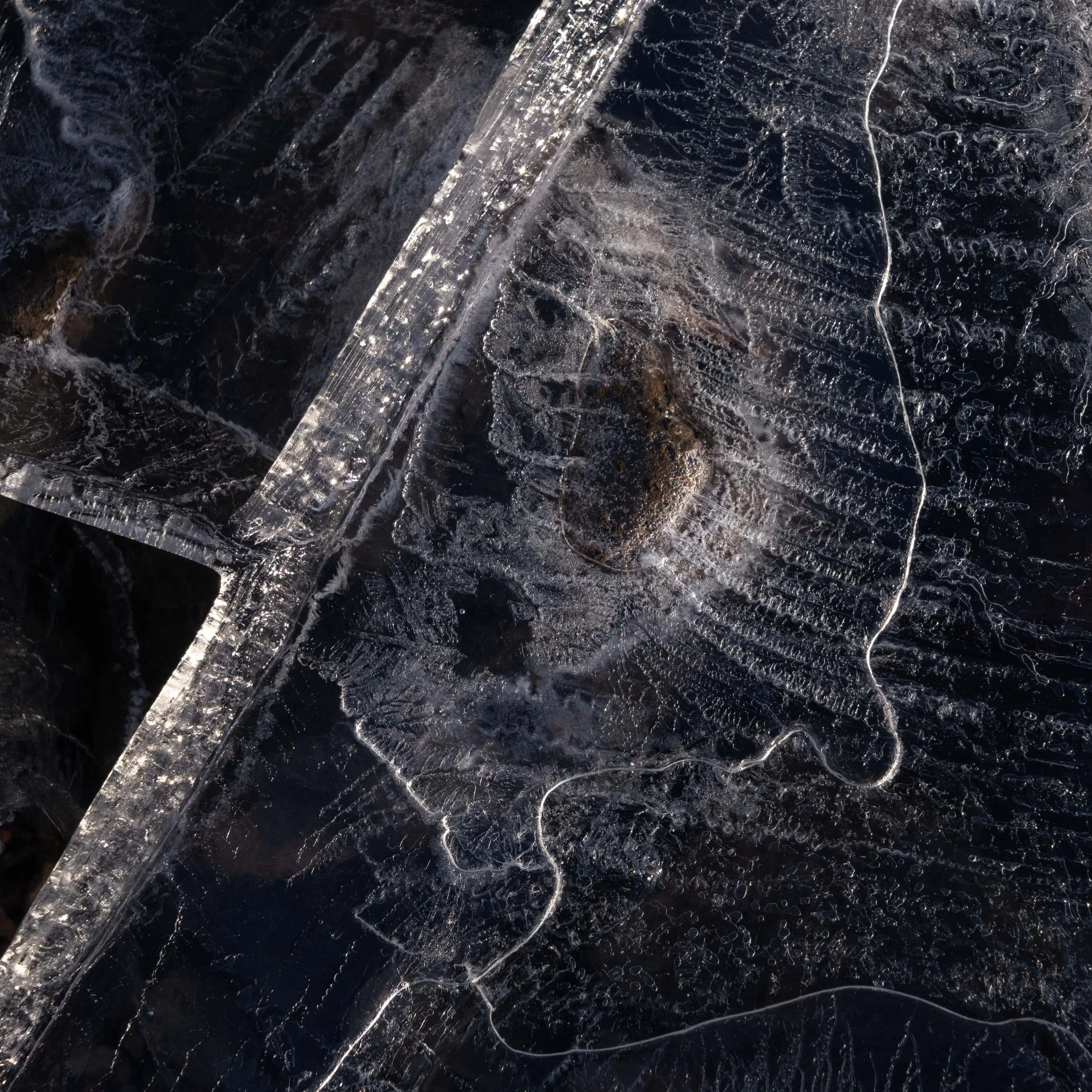 Alfredo Mora Photography New Releases-305.jpg