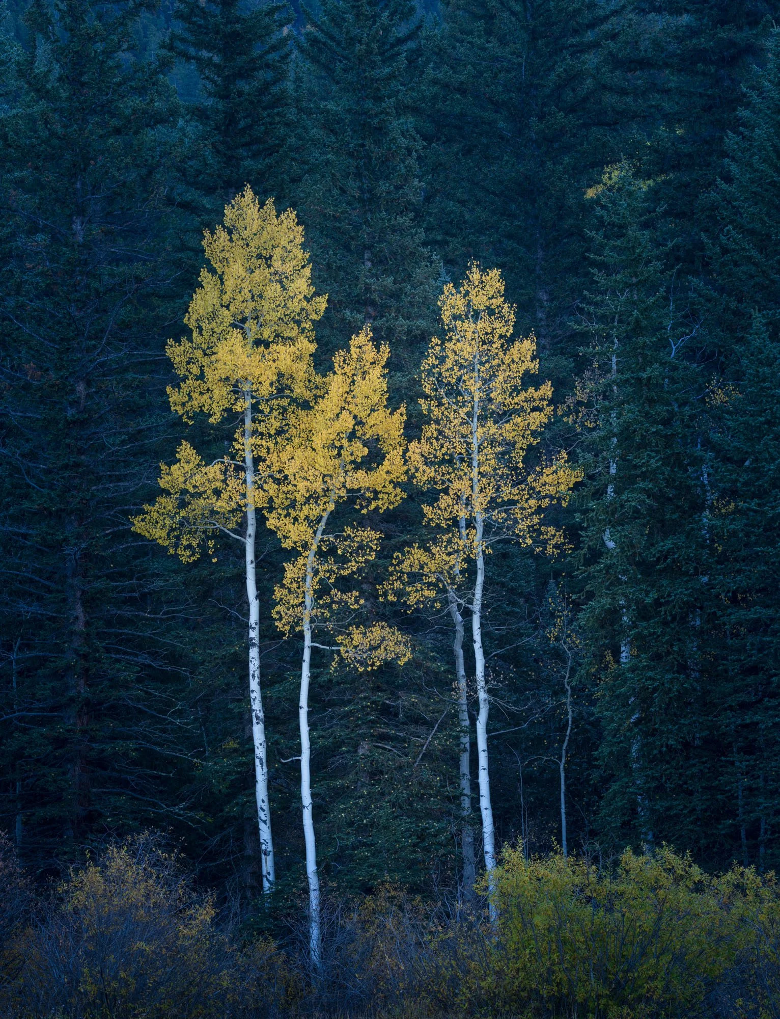 Wish You Were Here.JPG