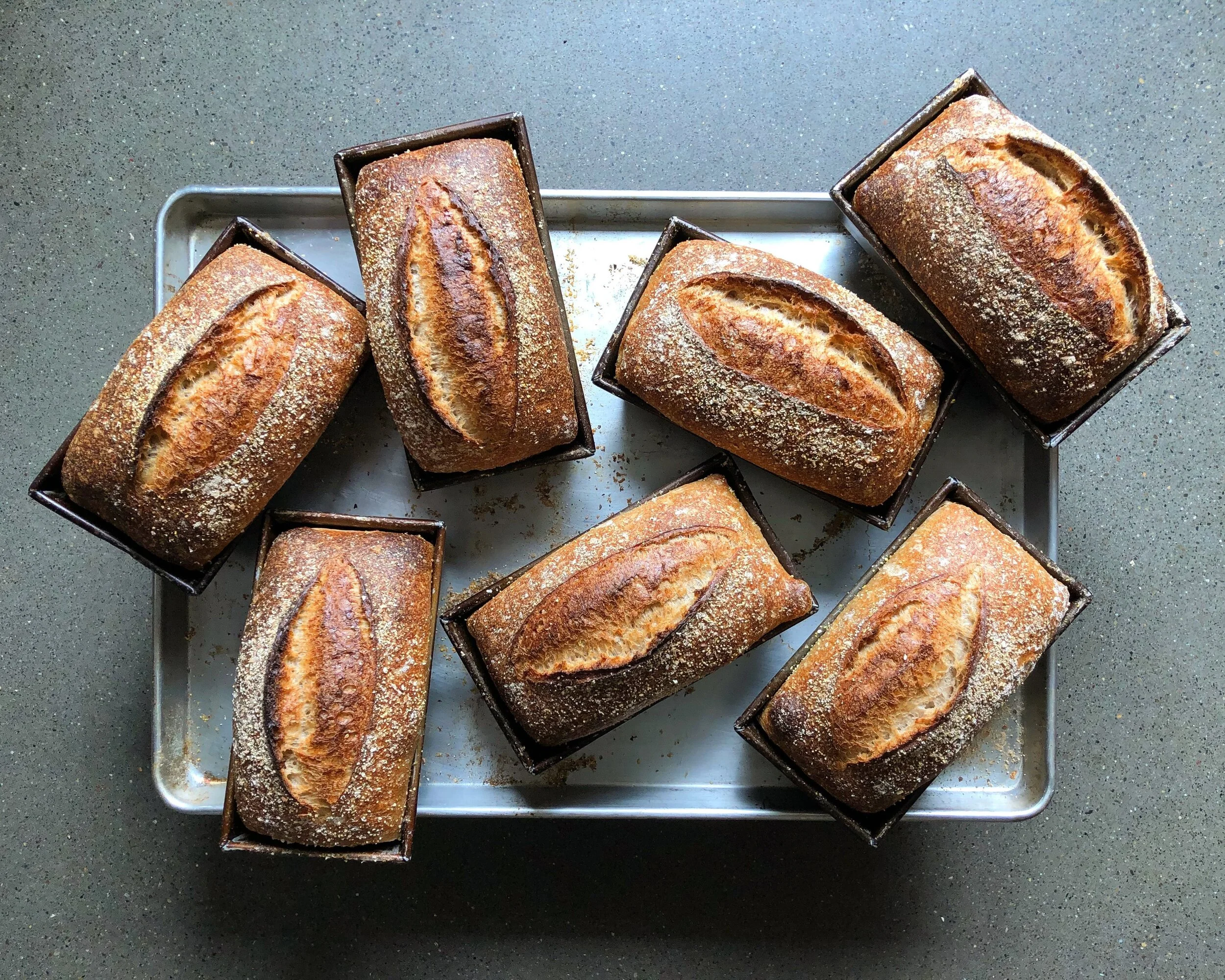 Which Flour Should I Use For Sourdough Sourdough Bread By Ed