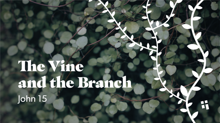 190201_Unite-Vine+Graphics-V2.png