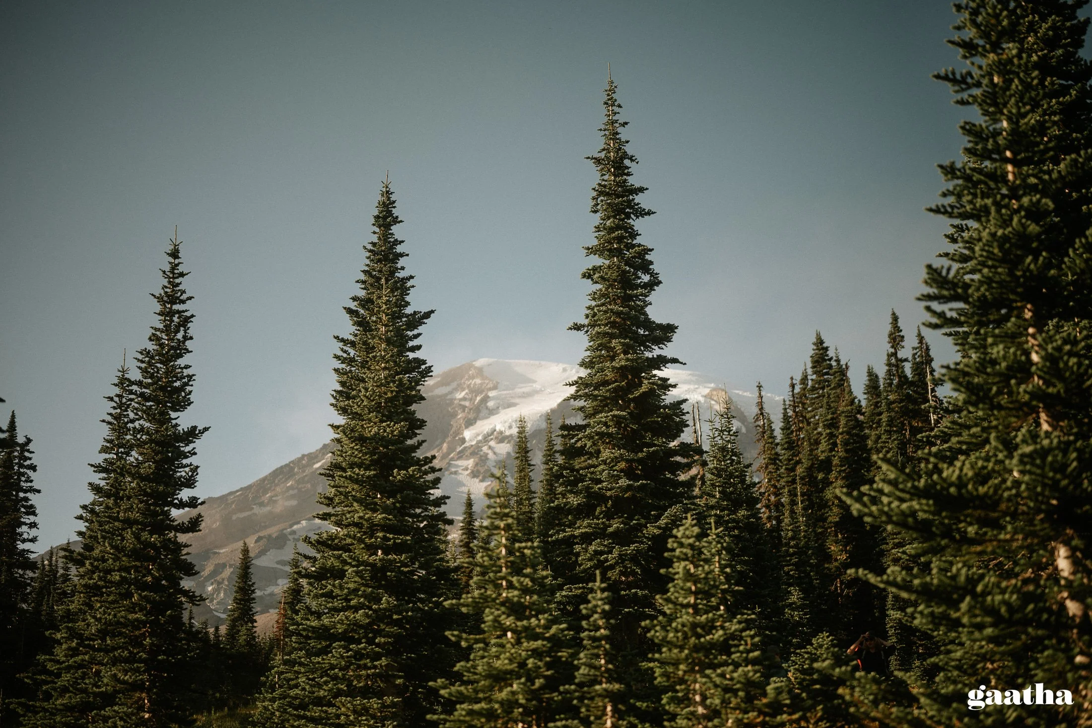 Ishita & Rushikesh-513.jpg