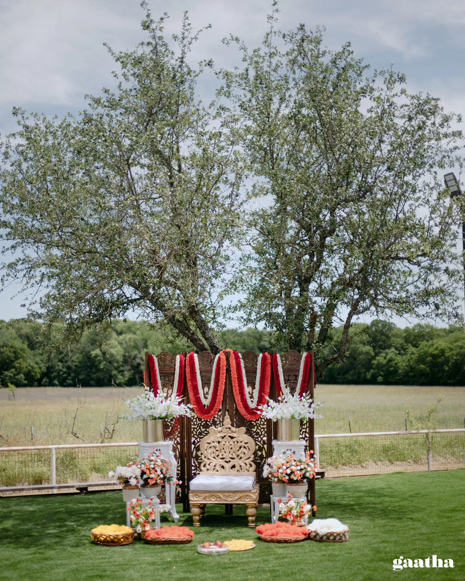 Balu & Sushmita -9963.jpg