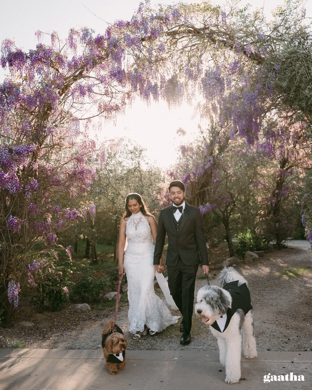 A quiet California afternoon,
woven with rituals.
Geetha &amp; Karthik, rooted, yet everywhere.

MUA @glamup_by_varapeddireddy 
Venue @detierraevents 

#LuxuryWedding #DestinationWedding #CaliforniaWedding #ModernIndianWedding #teluguweddings