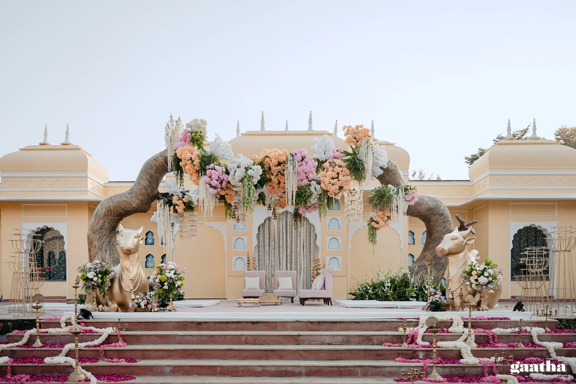 Disha & Rishabh-33749.jpg