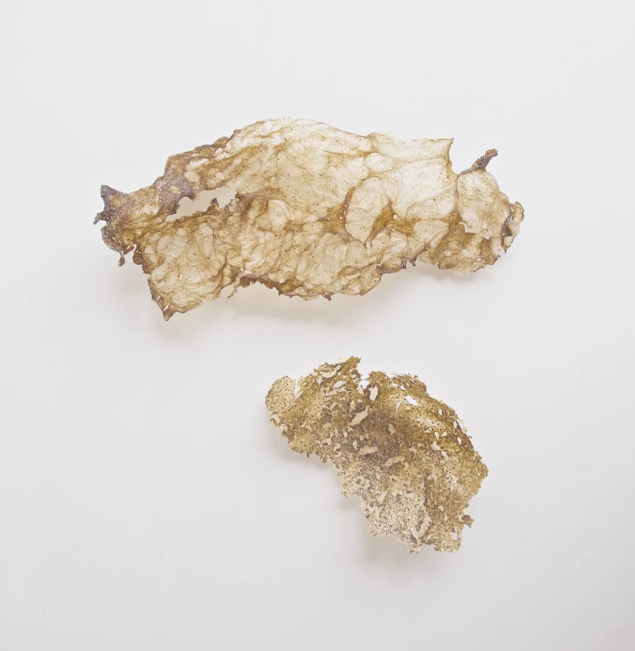 P8310509 (2).jpg