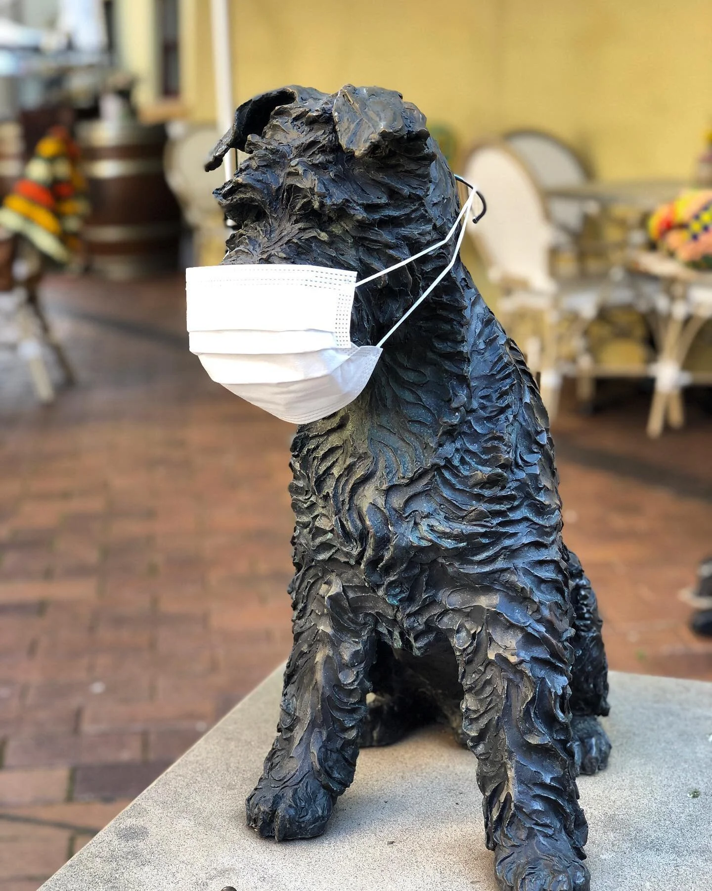 I’ll be masking up with the rest of the staff this weekend. 
Stay safe Sydney.