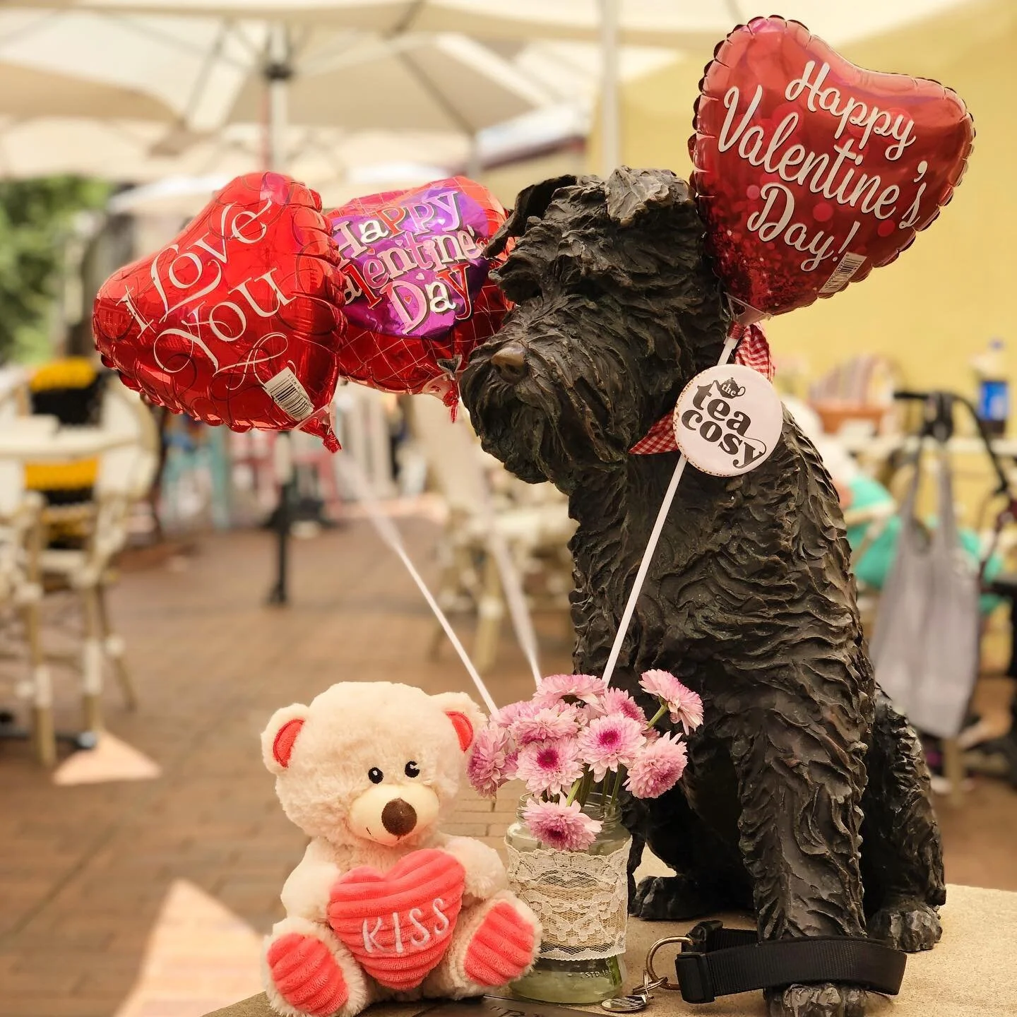 Will you be my Valentine? 
#schnauzersofinstagram