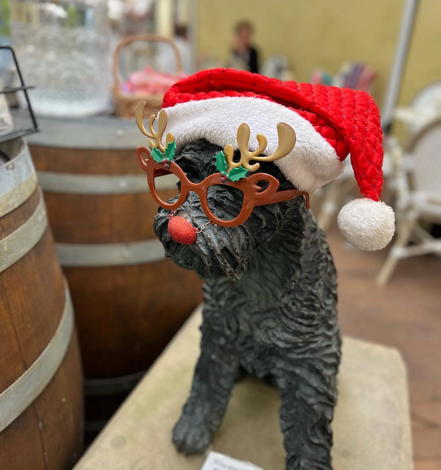 Happy December 1st 🎄