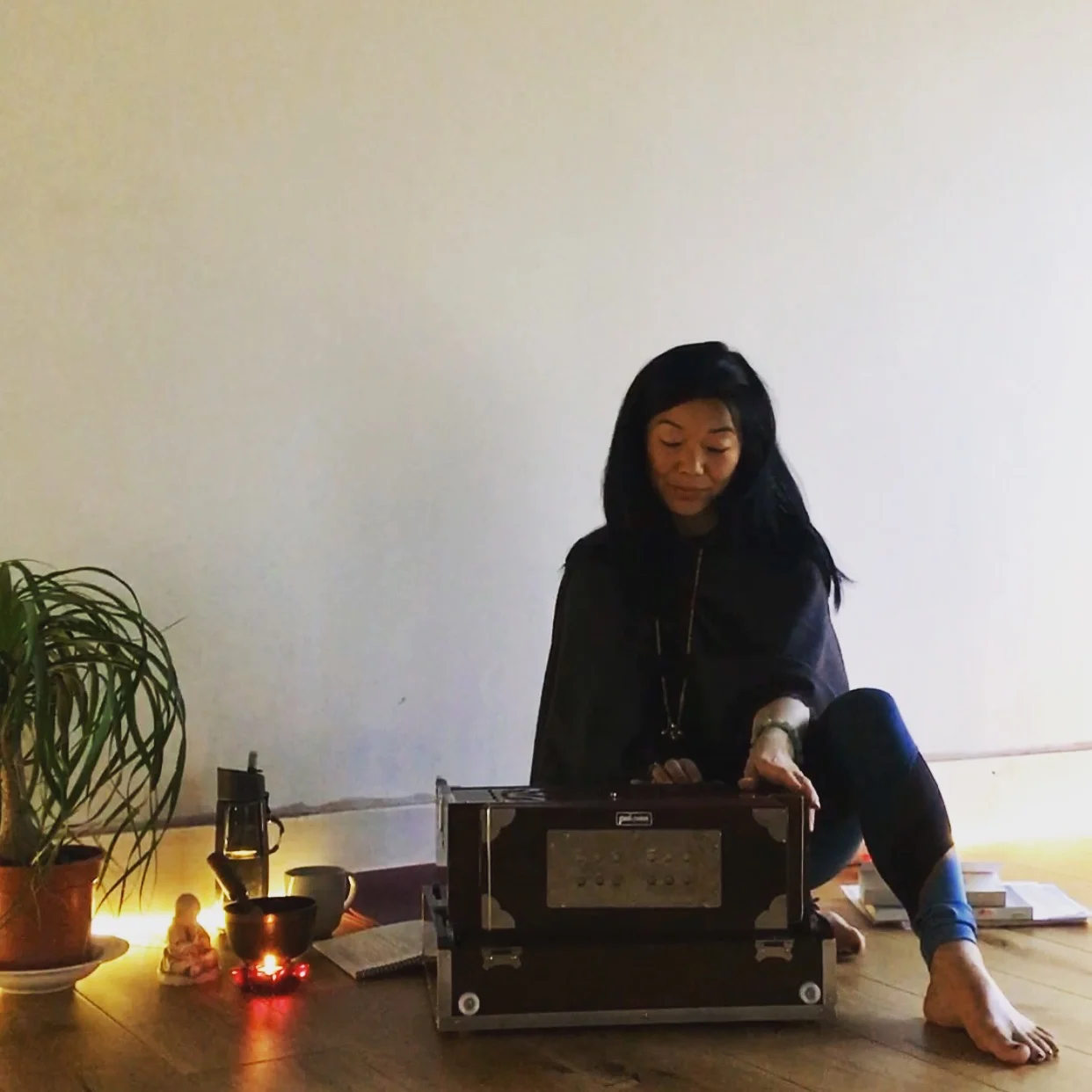 Sunny Harmonium.jpg