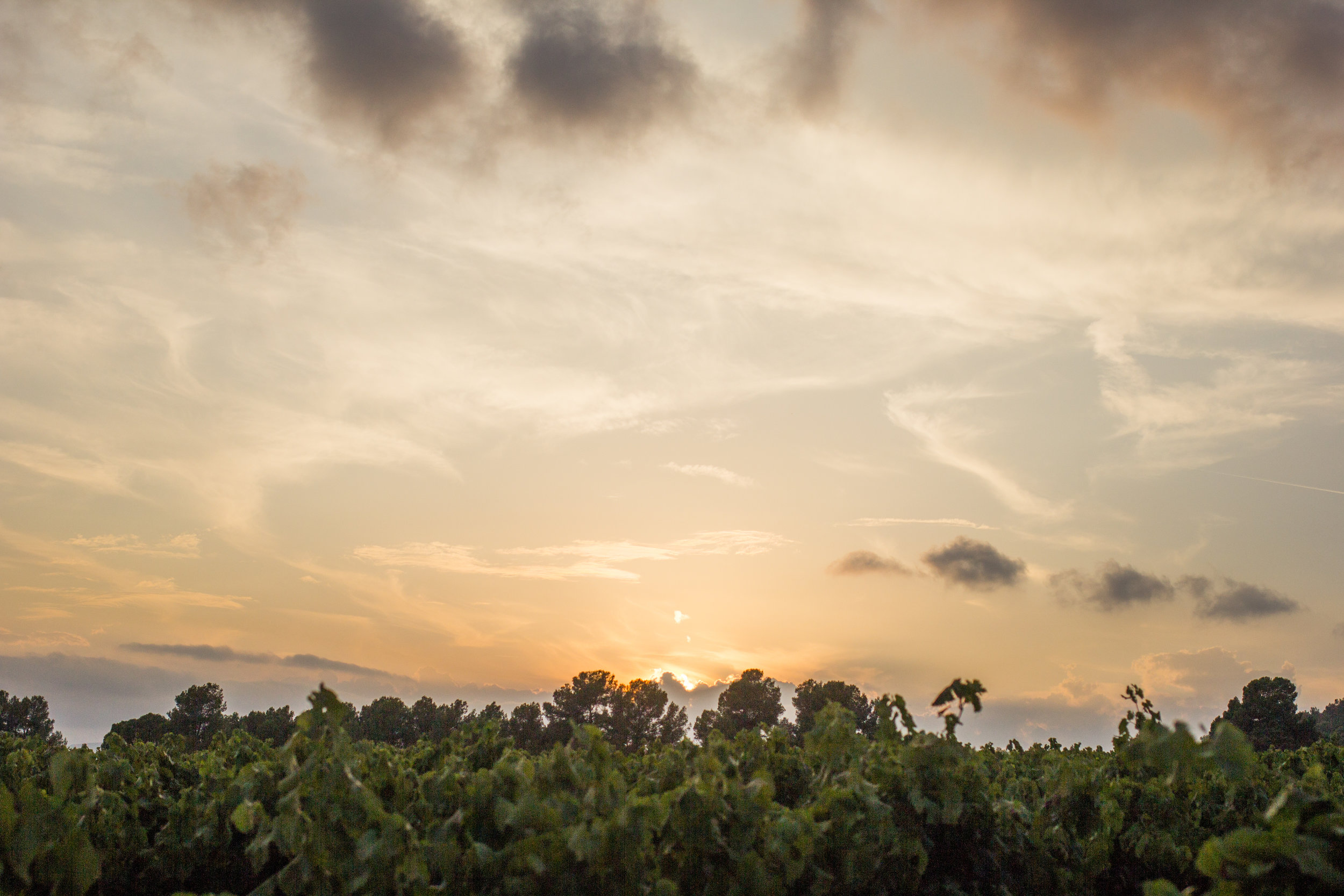 Dramatic sunset over a hilltop in Penedes