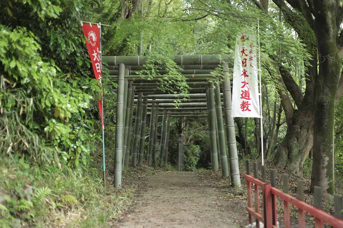 bamboo-torii.jpg