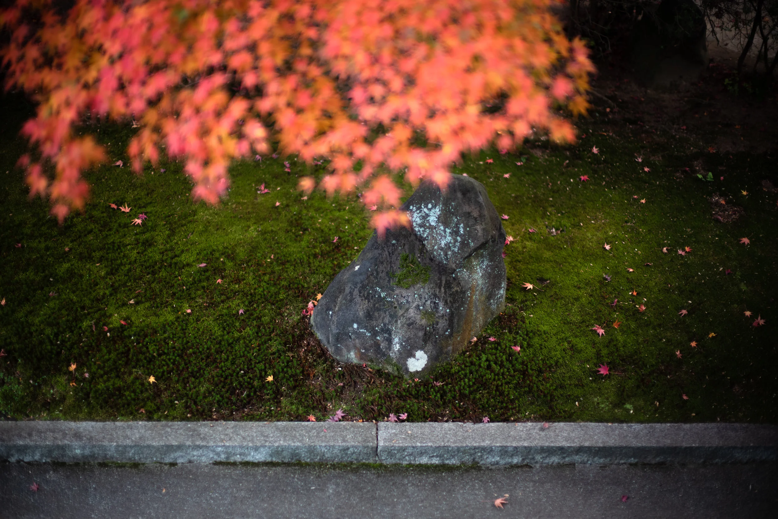 L1000385.jpg