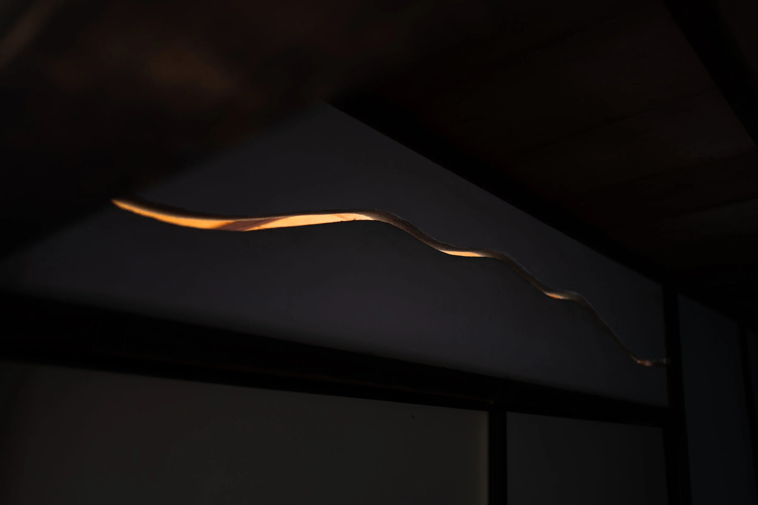L1020236.jpg