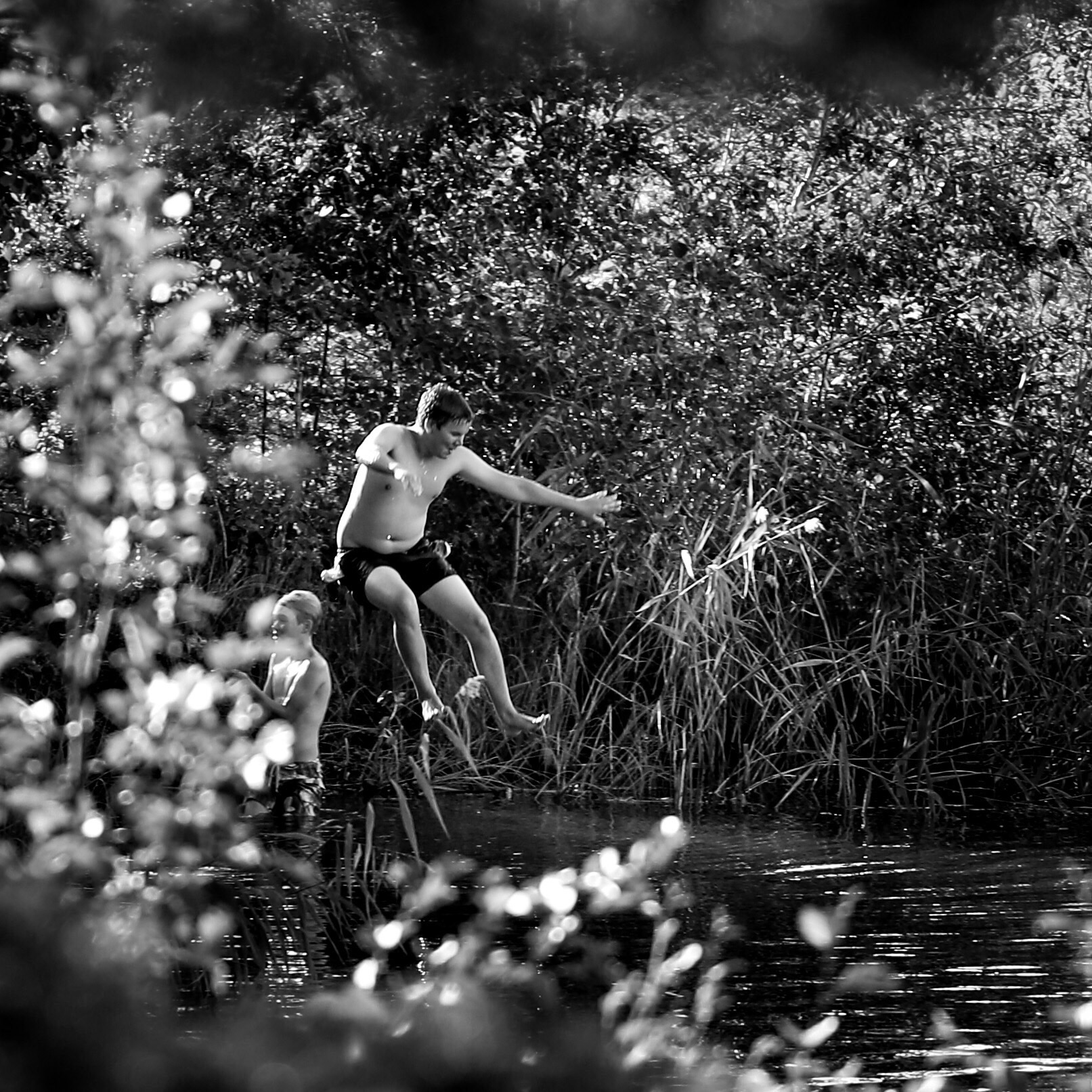 Dive