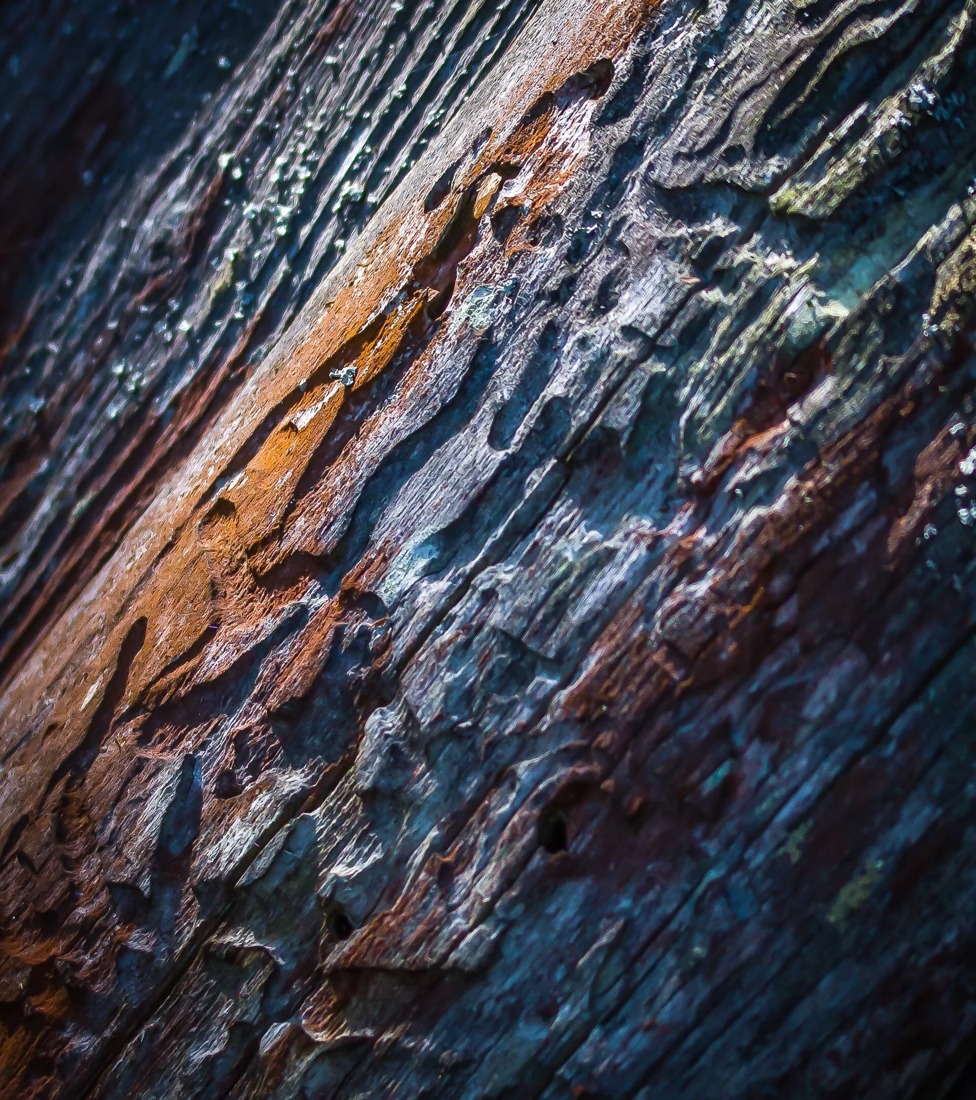Traces of life