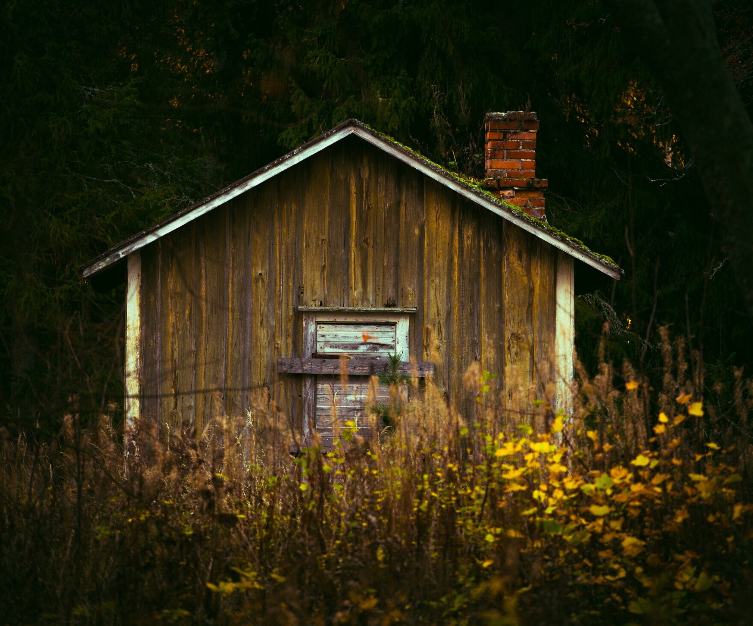 A2708965-BA0C-451C-967F-64B5D3FC2869.jpeg