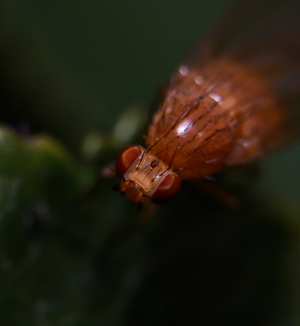 F7243761-FAA6-4BFA-8B59-BCF8F7F4C3F1.jpeg