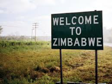 zim 1.png