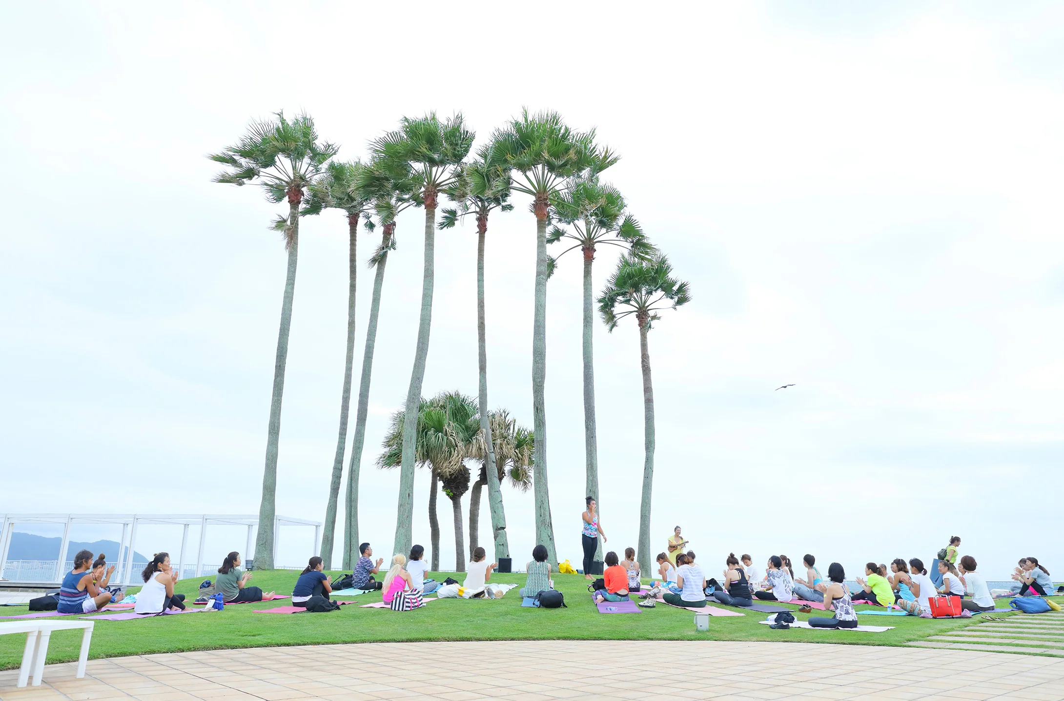 201904_riviera_zushi_marina_001.jpg