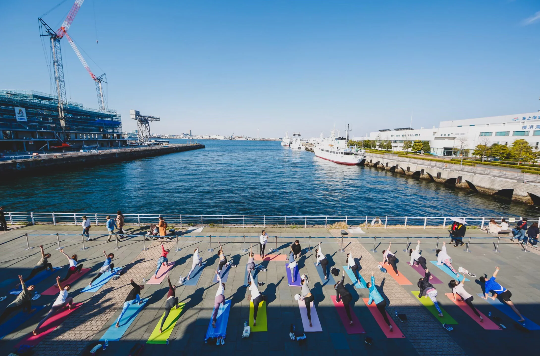 201910_marineyoga_main.jpg