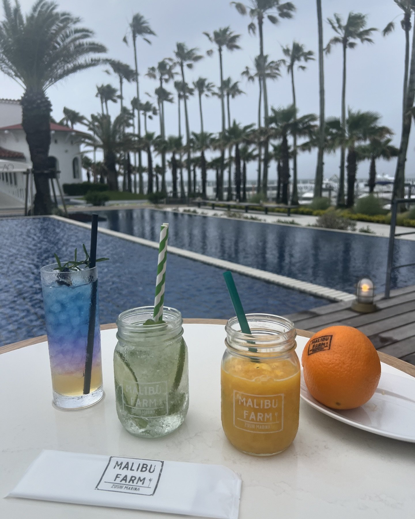 @malibufarm_zushimarina  も夏！
ヨガを担当しているMALIBU HOTELに併設する
レストランはまるでCAのマリブにるよう

夏のドリンクとスイーツは素材にもこだわり
最高にオススメなので
ぜひ脚を運んでみて下さい🍀

またMALIBU HOTELにご宿泊の際はぜひ
逗子マリーナのどこででも！
プライベートヨガが体験できますので
ぜひご予約くださいね🧘🏻&zwj;♀️

#malibuhotel #逗子マリーナ　#プライベートヨガ　#夏のスイーツ