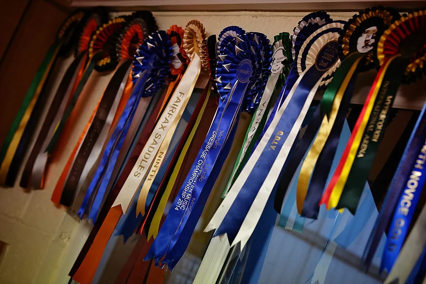 rosette.jpg