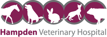 Hampden Veterinary Hospital