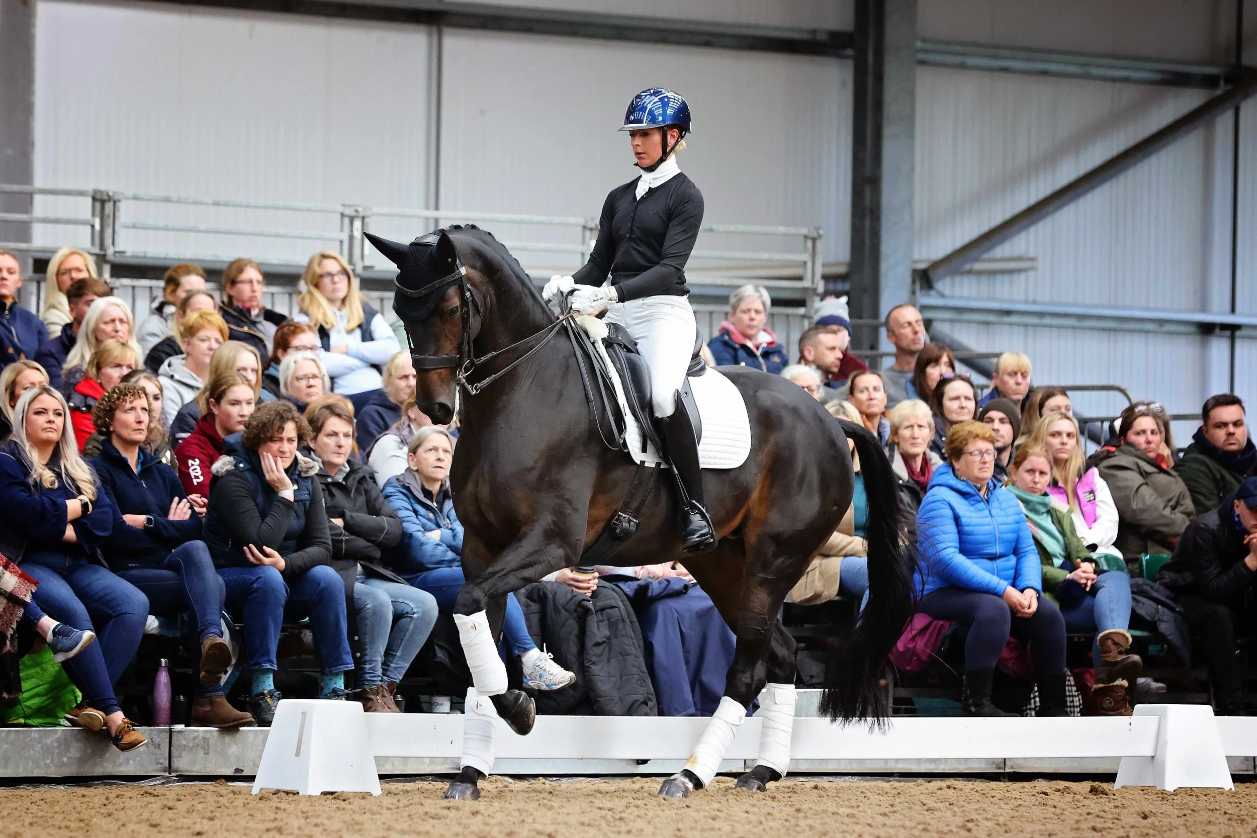 Dita Carl masterclass.jpg