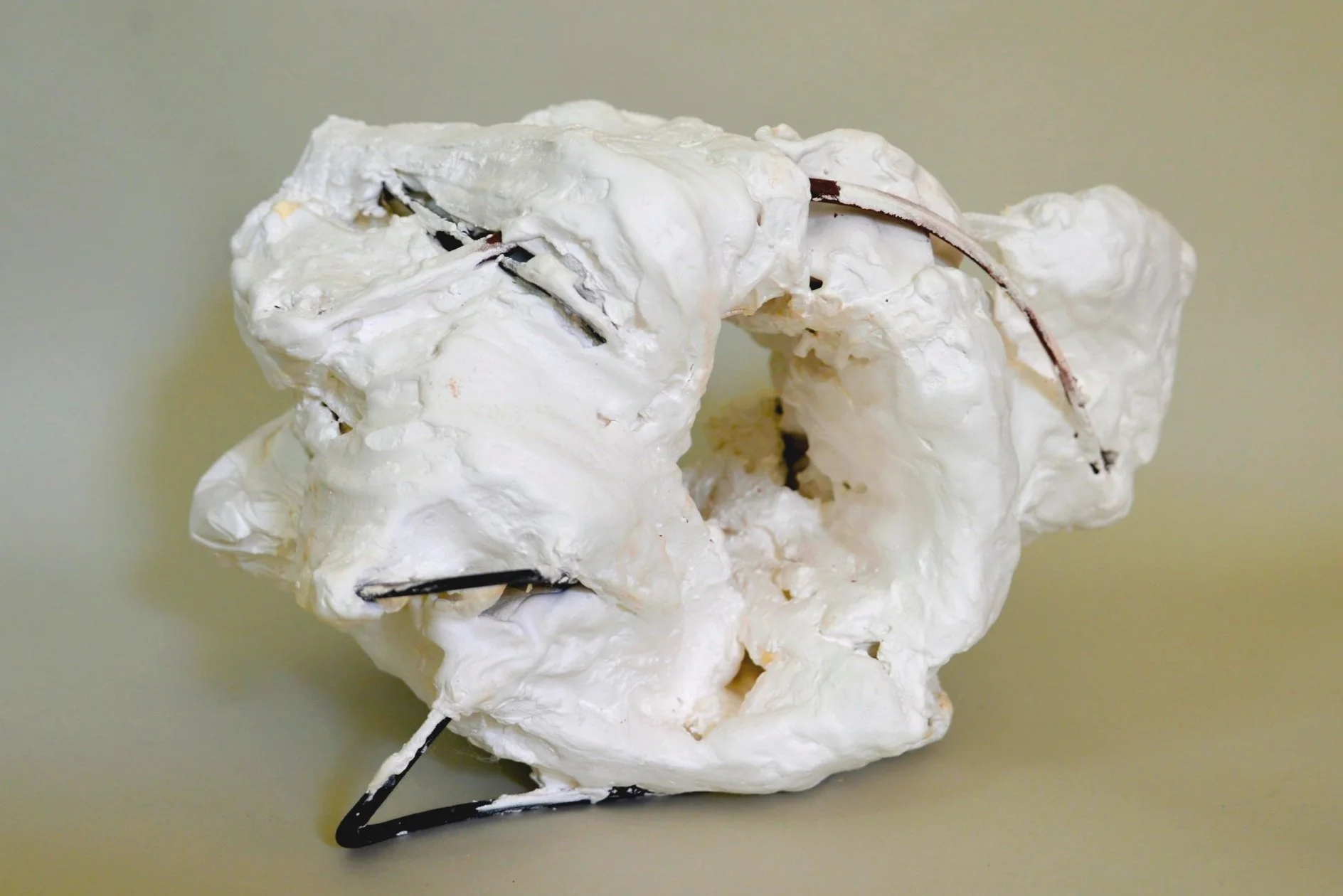 Speculative Nonfiction