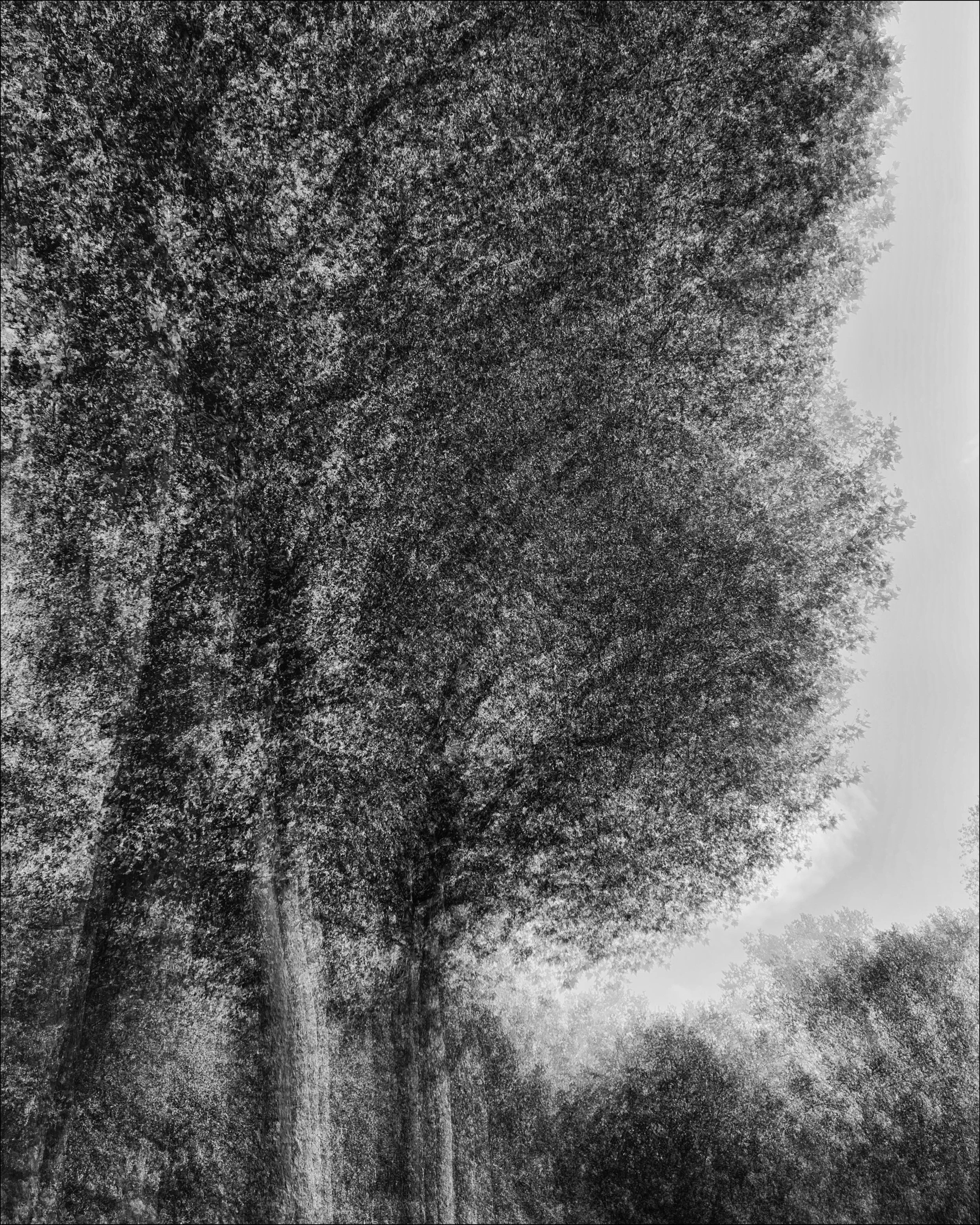 2023 08 28 ICM 024 of 35_Nik_1-1_dxo2.jpg