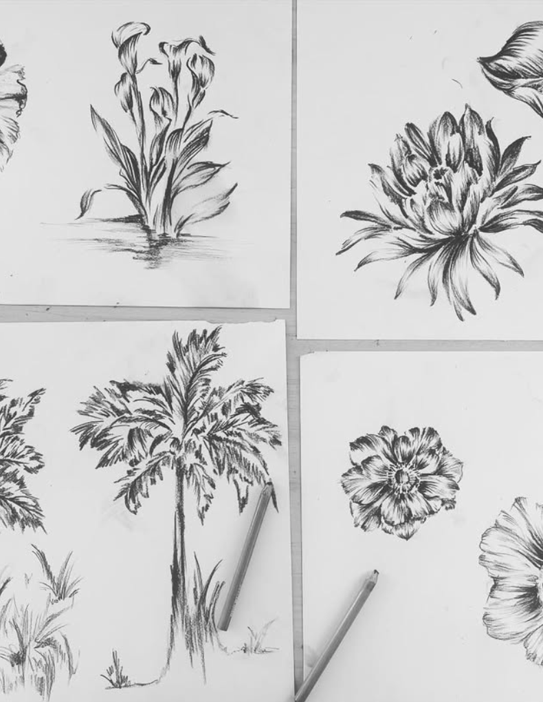 Screen Shot 2026-02-24 at 12.25.55 PM.png