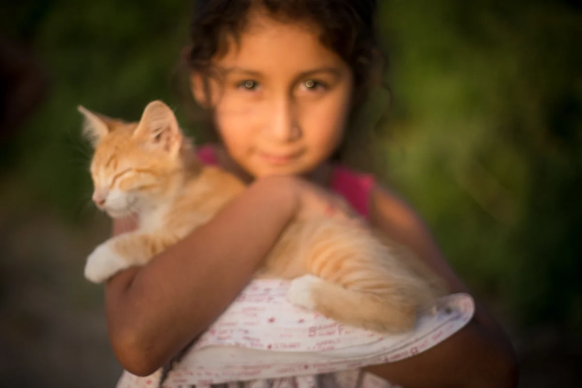 Photo: Krista Schlyer