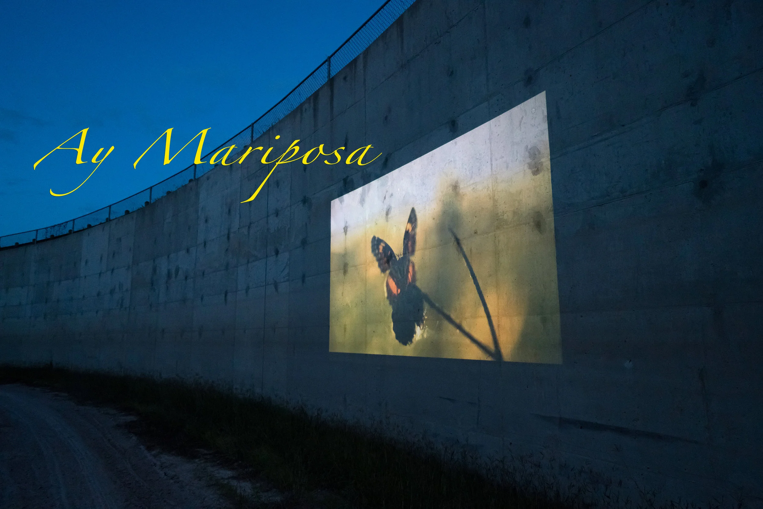 Ay Mariposa homepage.jpg