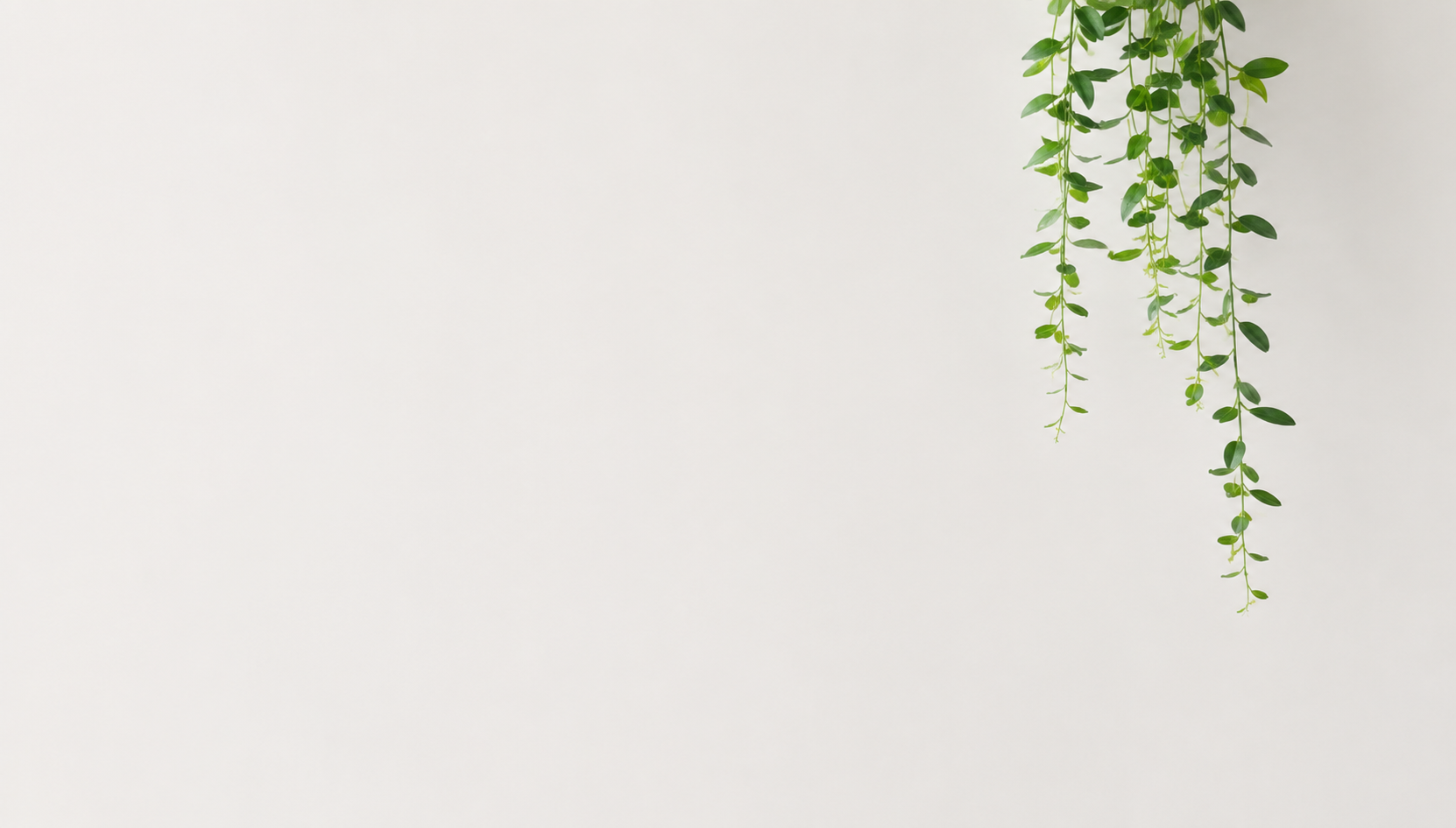 krachtvoer_background_contact2.png