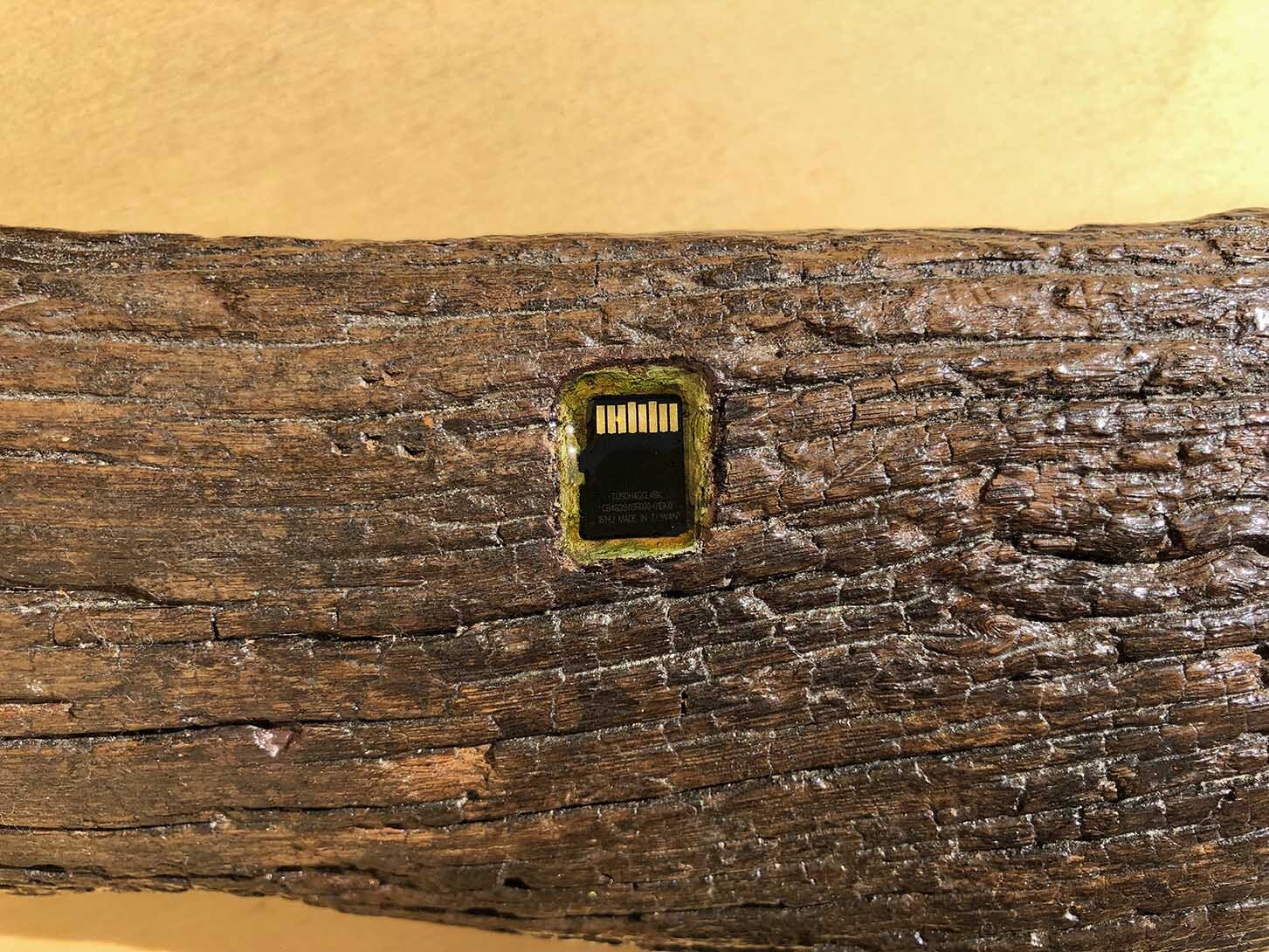 Virgilio rospigliosi Legno di Rembrandt. 2018. Cm 38x10x8, tronco di legno, memory card con all'interno l'immagine smaterializzata del tronco di legno (detail).jpg