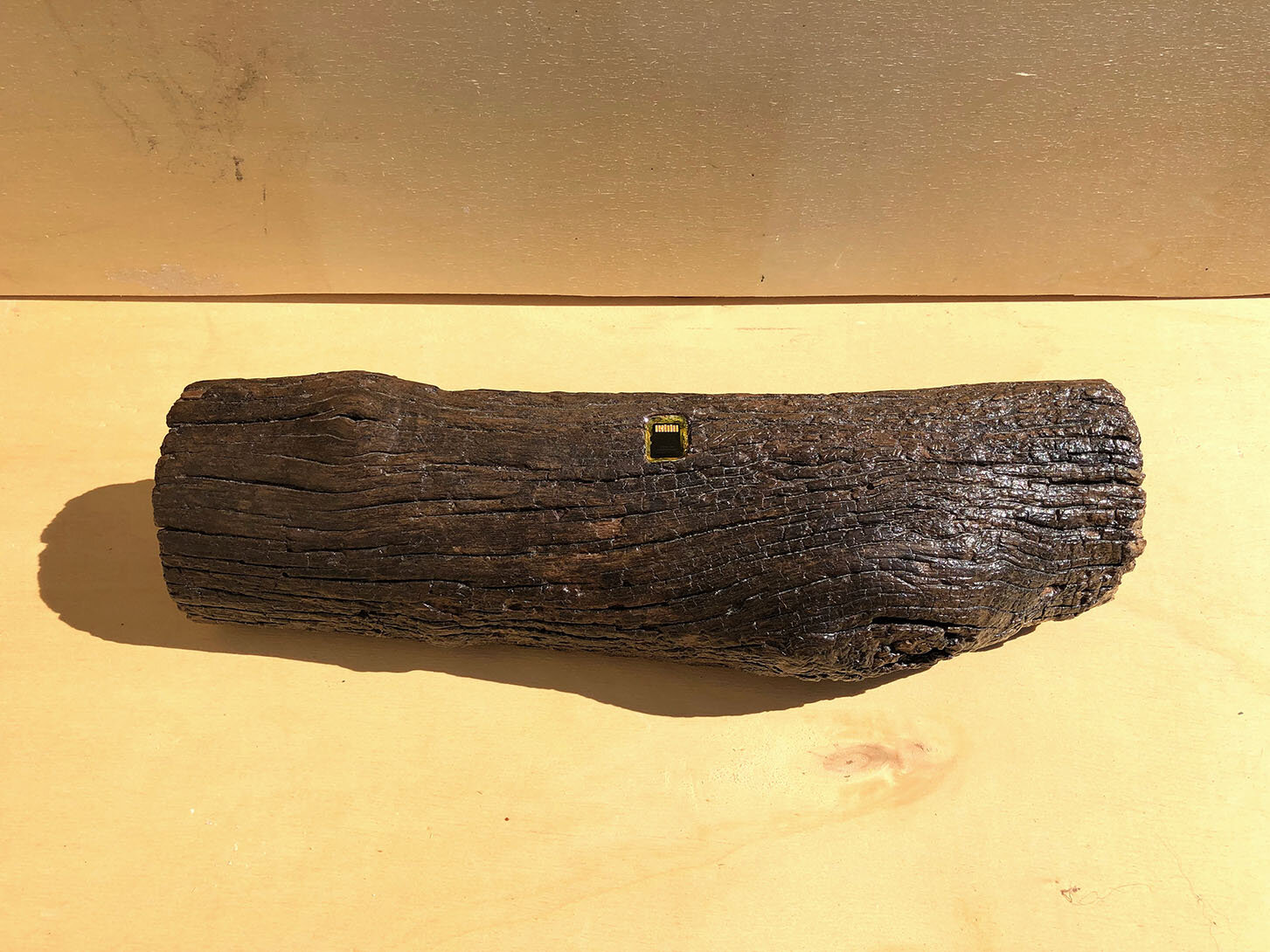 Virgilio rospigliosi Legno di Rembrandt. 2018. Cm 38x10x8, tronco di legno, memory card con all'interno l'immagine smaterializzata del tronco di legno.jpg