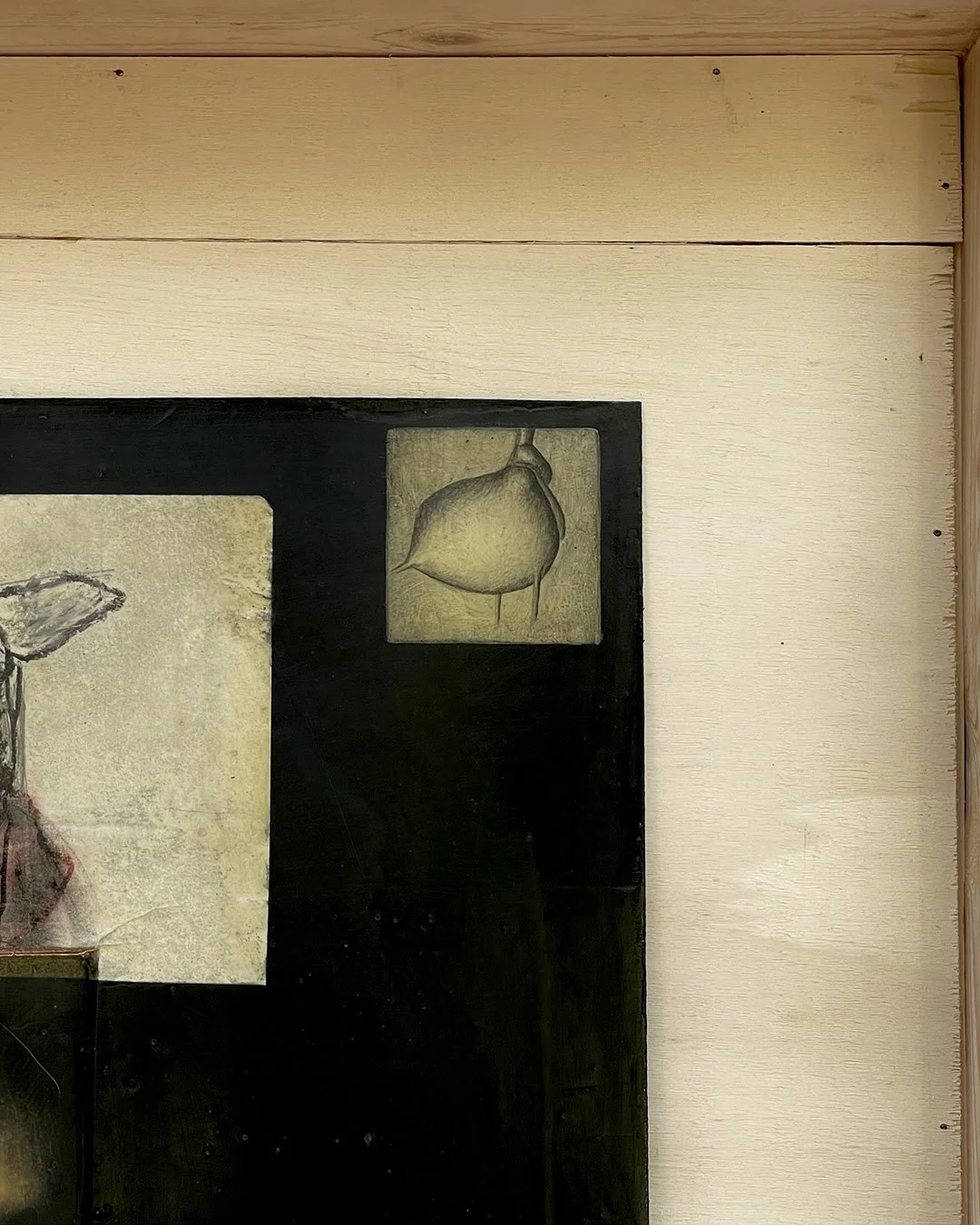 Virgilio Rospigliosi 1998-2011, studio anatomico. Cm50x40, cartone, carta, pastello, fotografia analogica, resina. 12.jpg