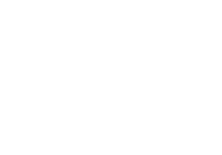 markSpainWhite.png