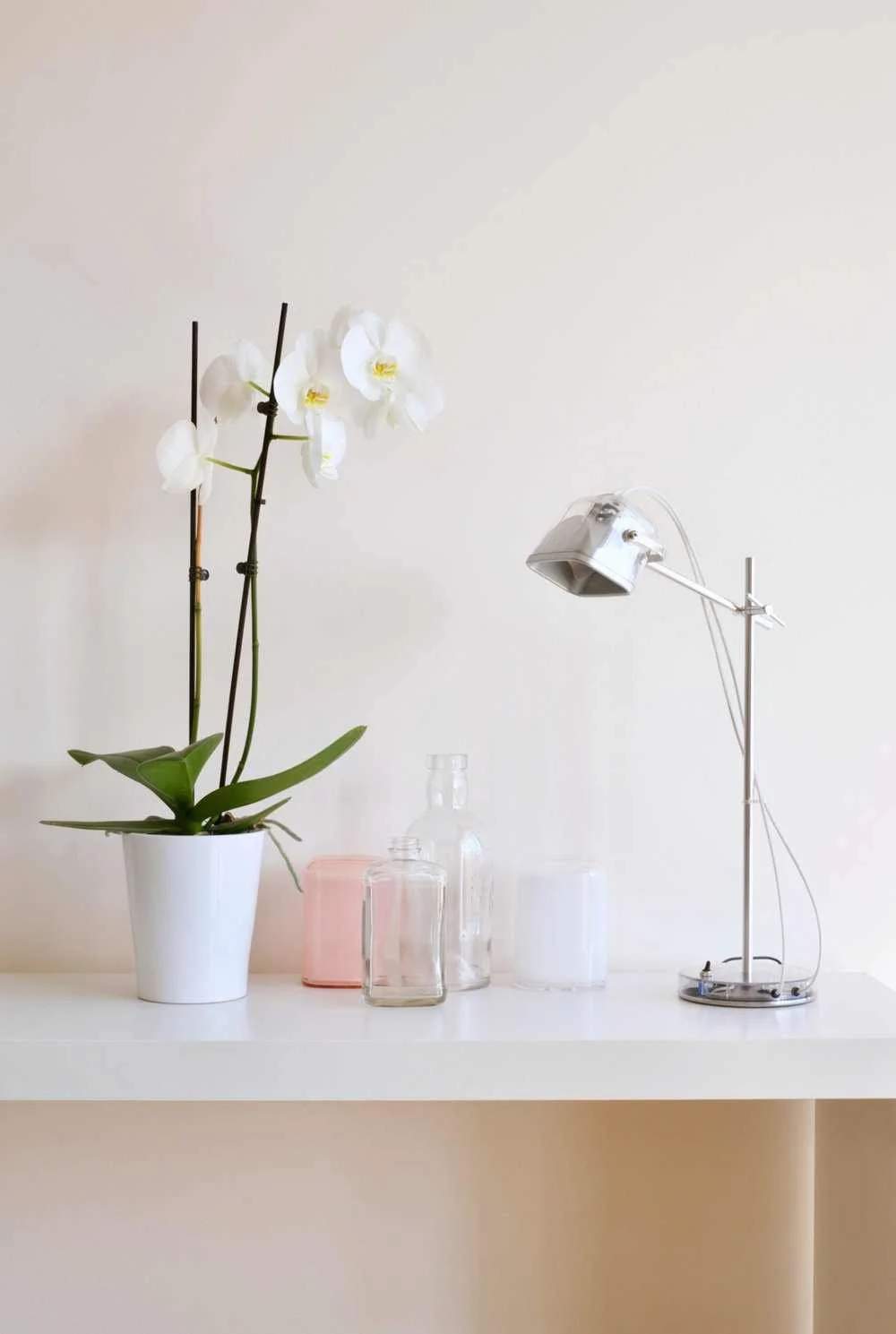 Crazy Orchids, Instagram Queens and The Onion Effect