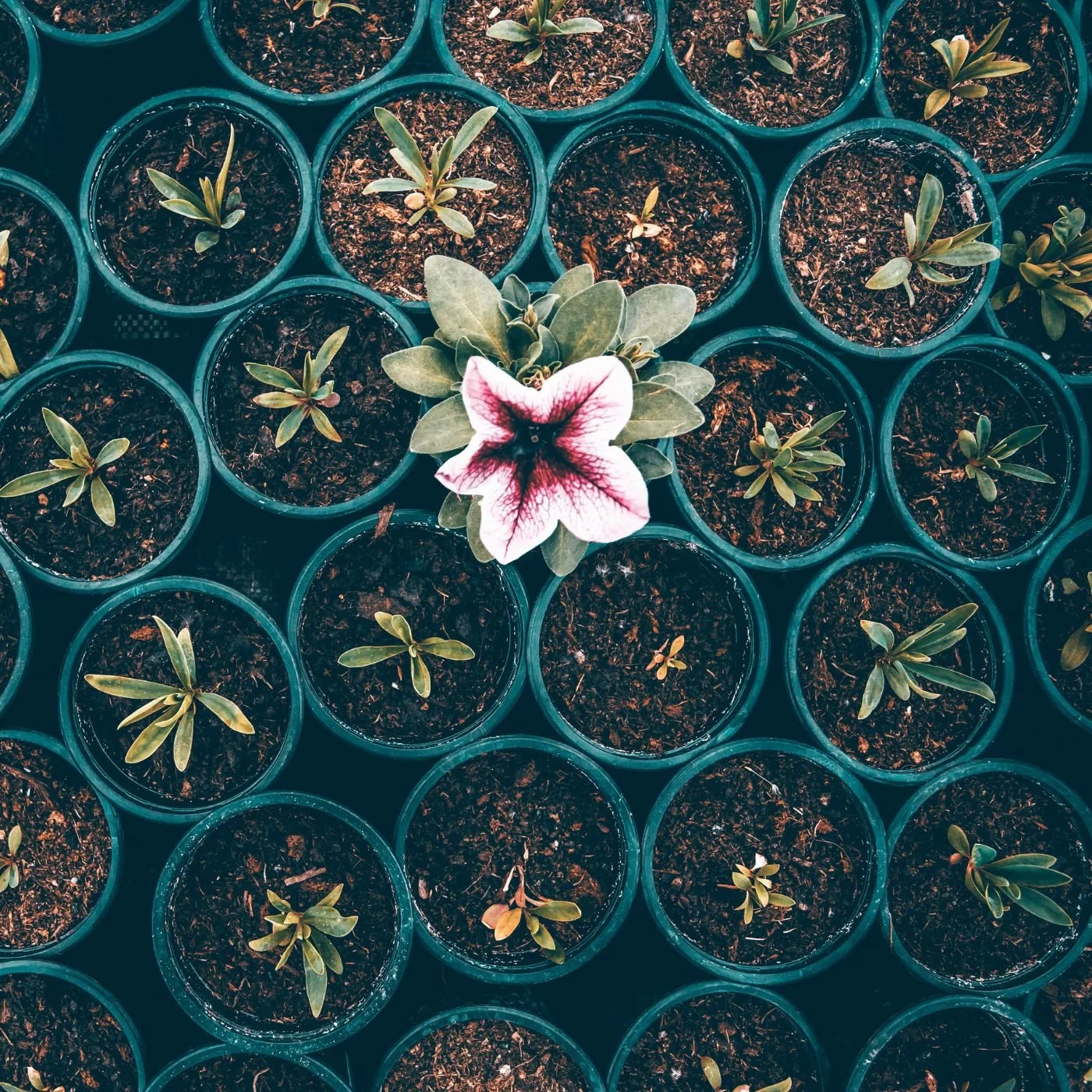 Ep #6: How Entrepreneurship Made Me Woo