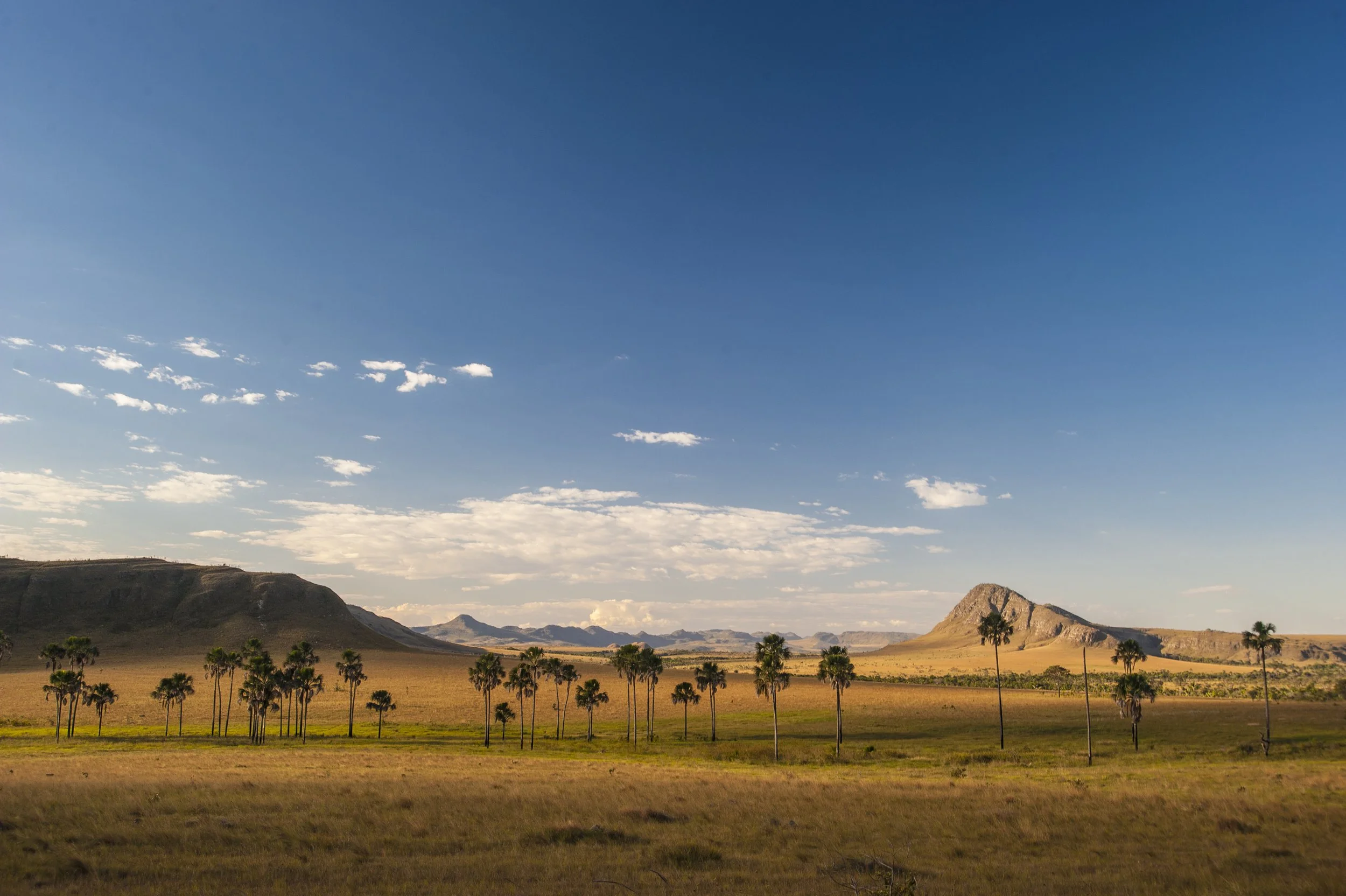 goias4.jpg