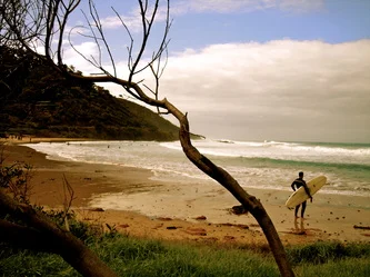 noosa.jpg