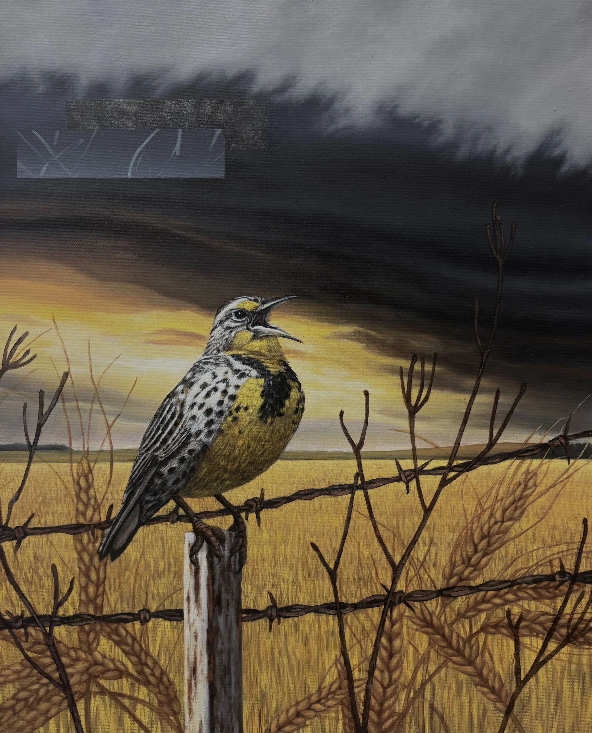 EasternMeadowlark,Lachin,oiloncanvas,16x20,$4200.jpeg