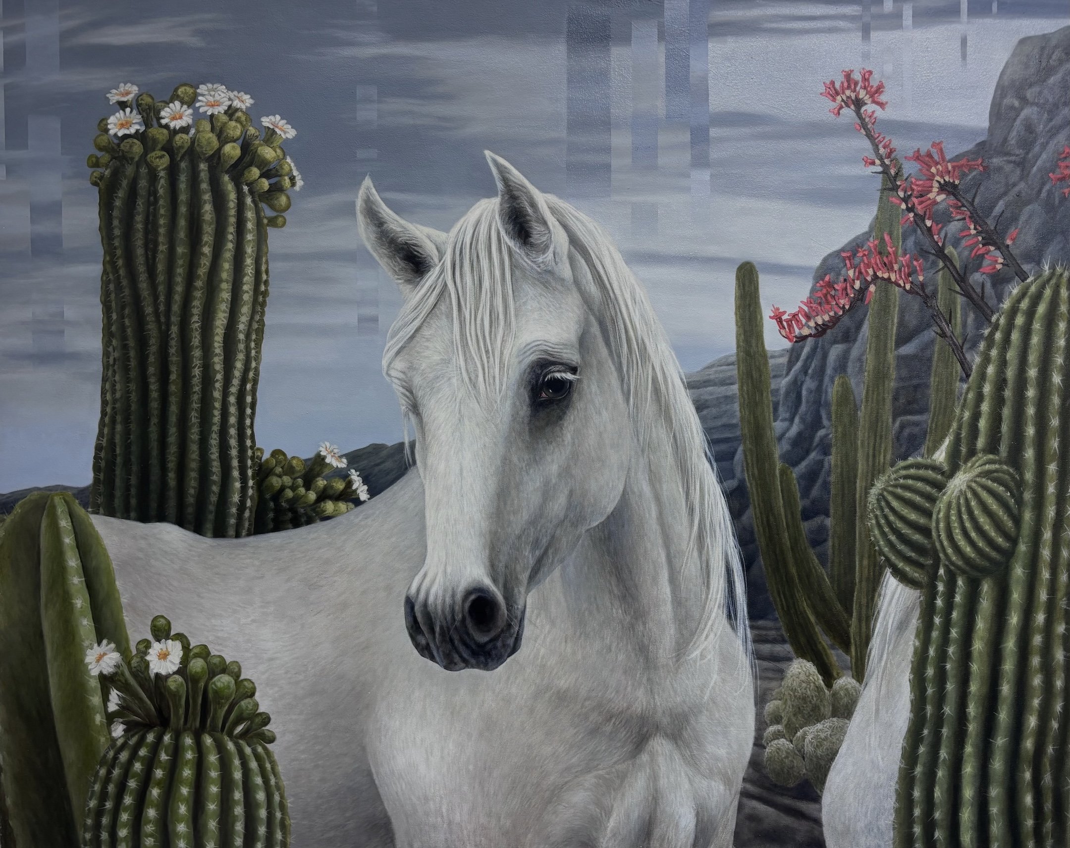 WhiteHorseinthedesert,MeredithLachin,oiloncanvas,50x40,$'11,000.jpeg