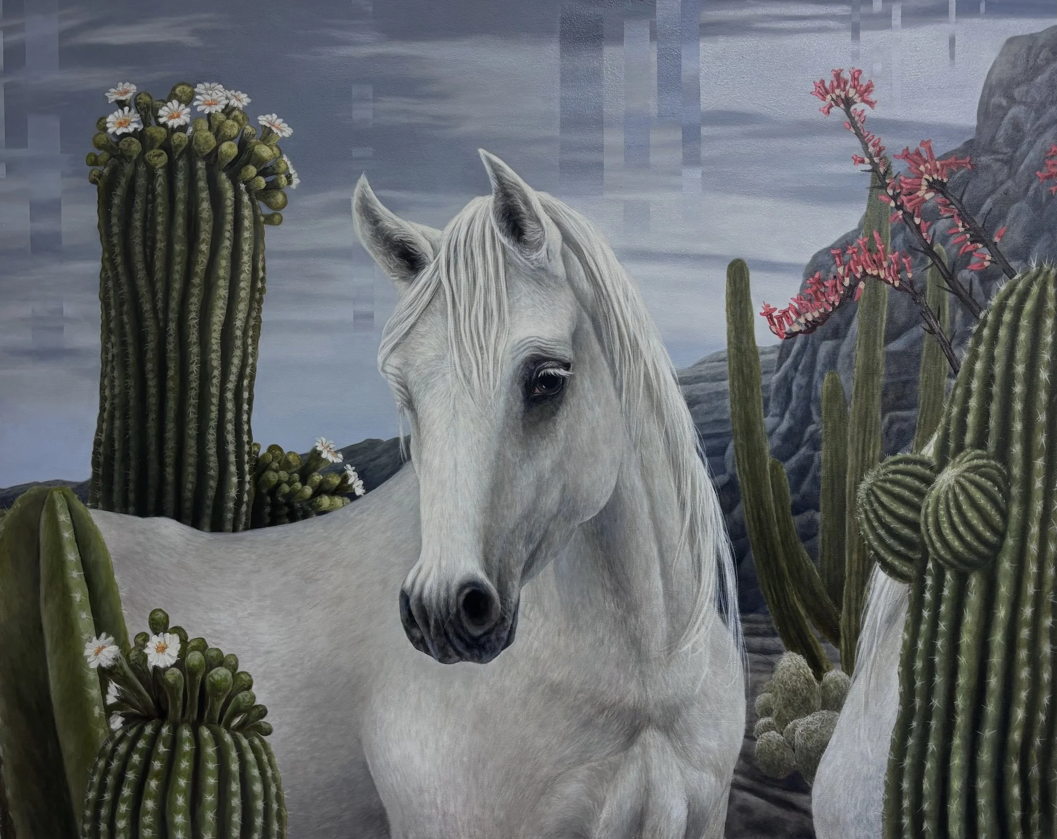 WhiteHorseinthedesert,MeredithLachin,oiloncanvas,50x40,$'11,000.jpeg