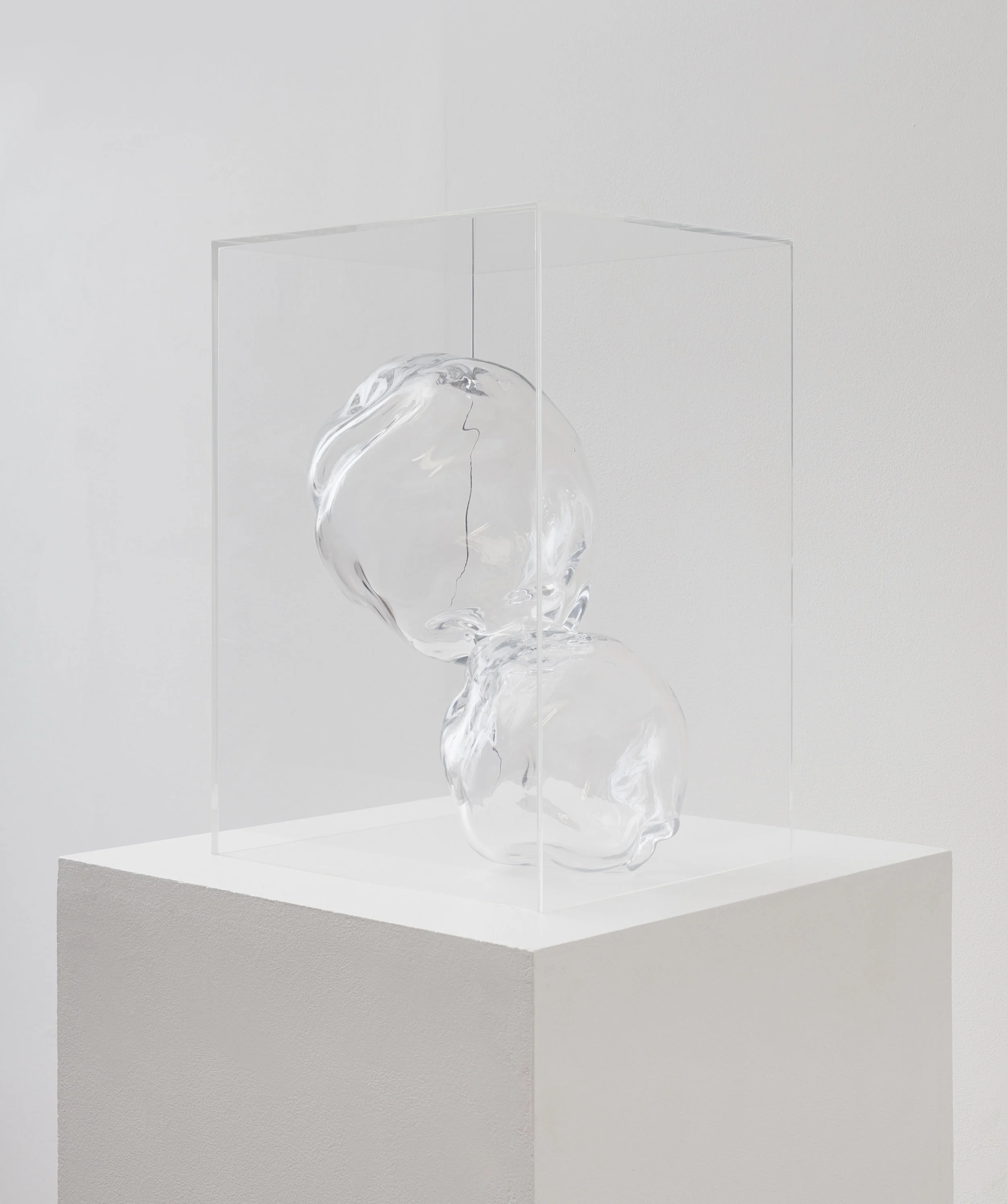 dreaming a clear labyrinth, 2018