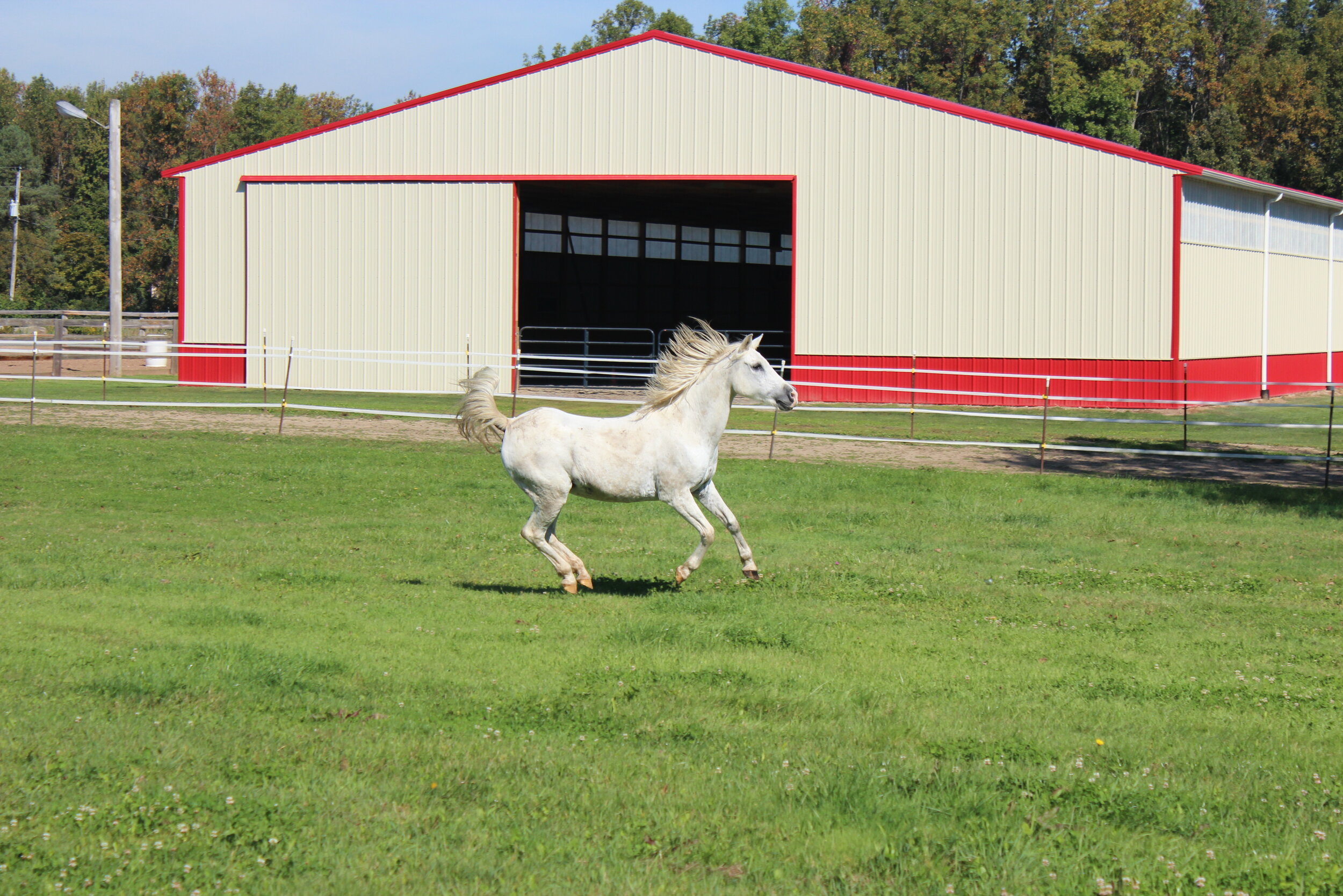 Horse_Arena_Pole_Barn_313544.jpg